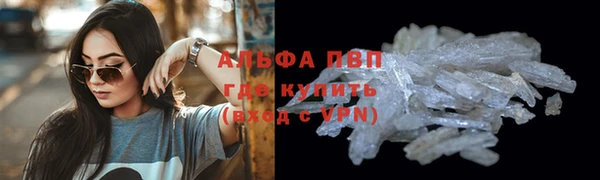 прущая мука Арсеньев