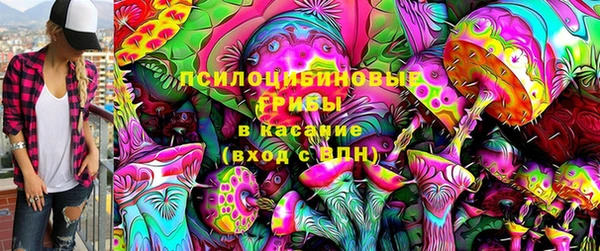 прущая мука Арсеньев