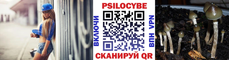 закладка  Поронайск  площадка телеграм  Галлюциногенные грибы Psilocybe 